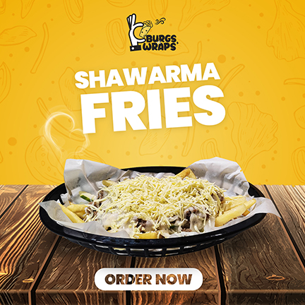 Shawarma Fries